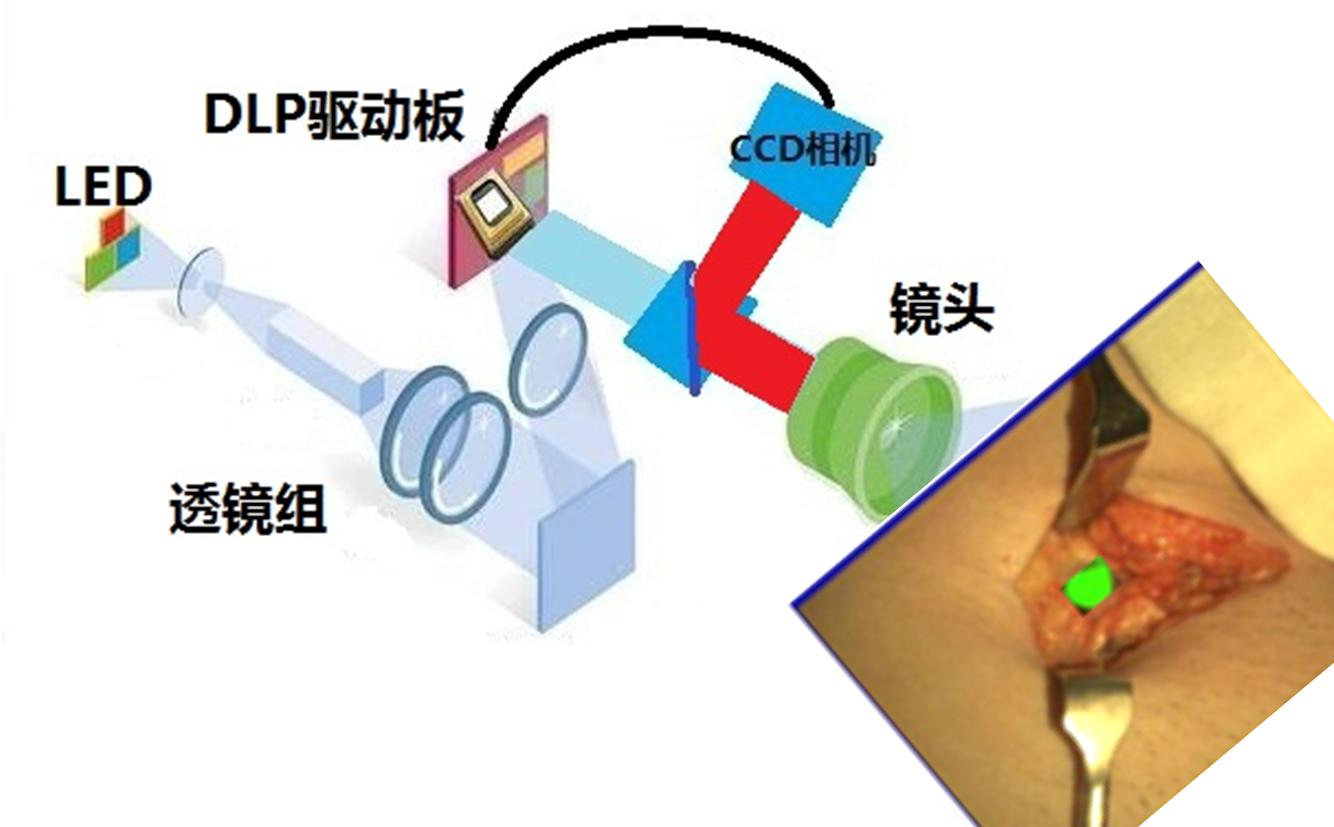 术中肿瘤荧光原位显示系统