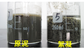 污、淤泥絮凝脱水用抗水解阳离子高分子絮凝剂