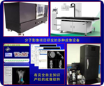 多模态光学分子影像成像方法平台与系统应用