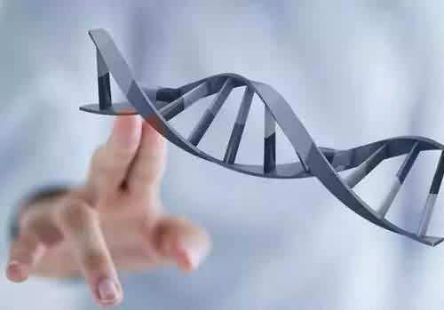 基因组中目的基因的遗传改造方法