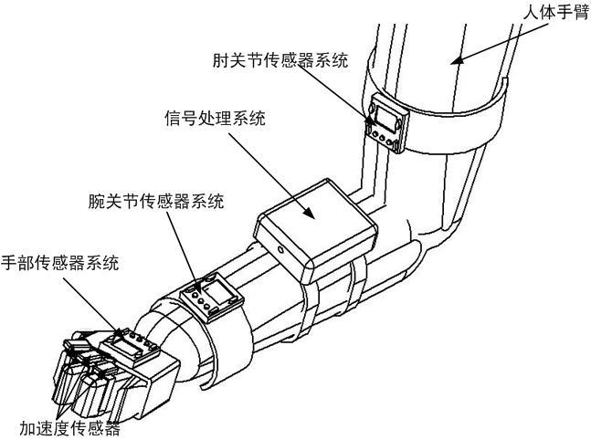 可穿戴型人体手臂震颤评估系统与抑制装置