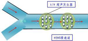 超声波辅助细胞导入生物芯片