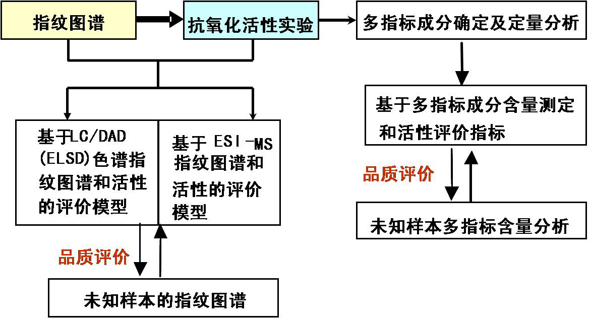 中药的活性筛选及质量控制研究