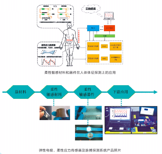 柔性可穿戴多参量人体体征监测系统的产业化项目