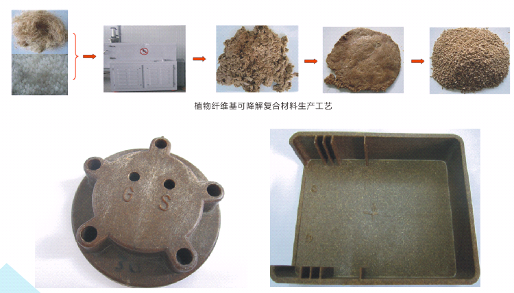 植物纤维基可降解复合材料产业化项目