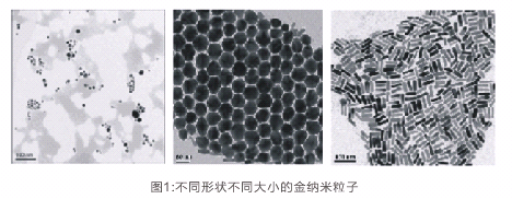 重金属离子快速检测试剂产业化项目