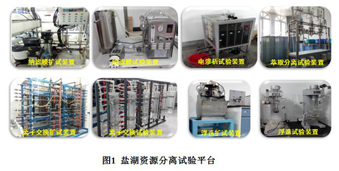 高镁锂比盐湖卤水提锂技术
