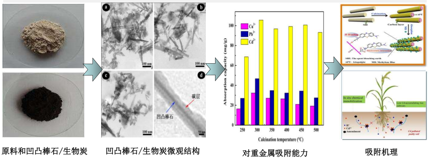 凹凸棒石/生物炭重金属土壤修复剂