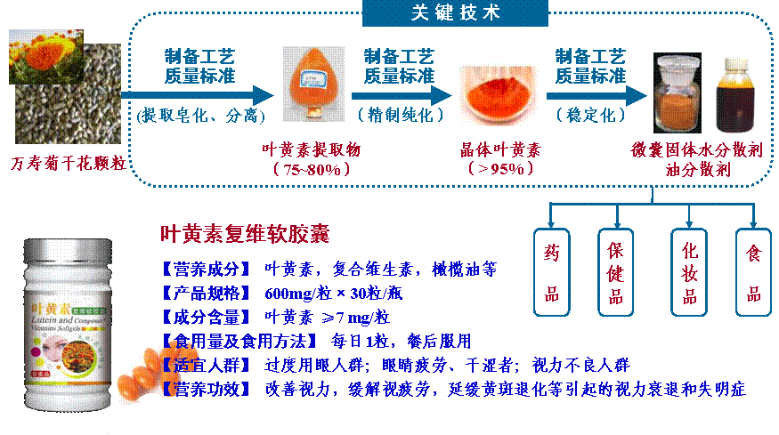 金盏花（万寿菊）叶黄素晶体制备技术及产品产业化开发