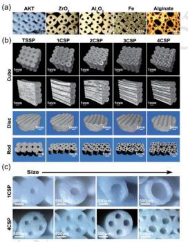 3D打印硅基生物活性陶瓷人工骨