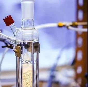 丙酮酸生物发酵生产关键技术