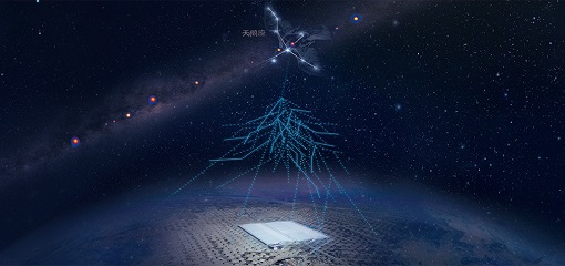 俄用从太空获取的骨组织进行移植实验
