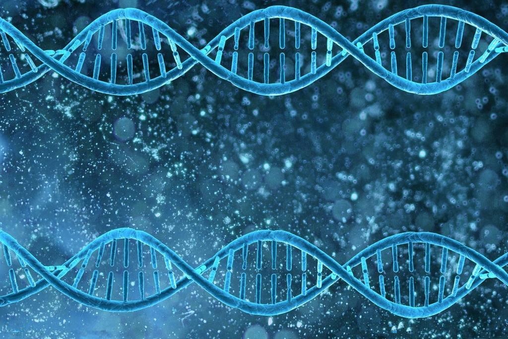 快速组装全基因组在个人电脑实现