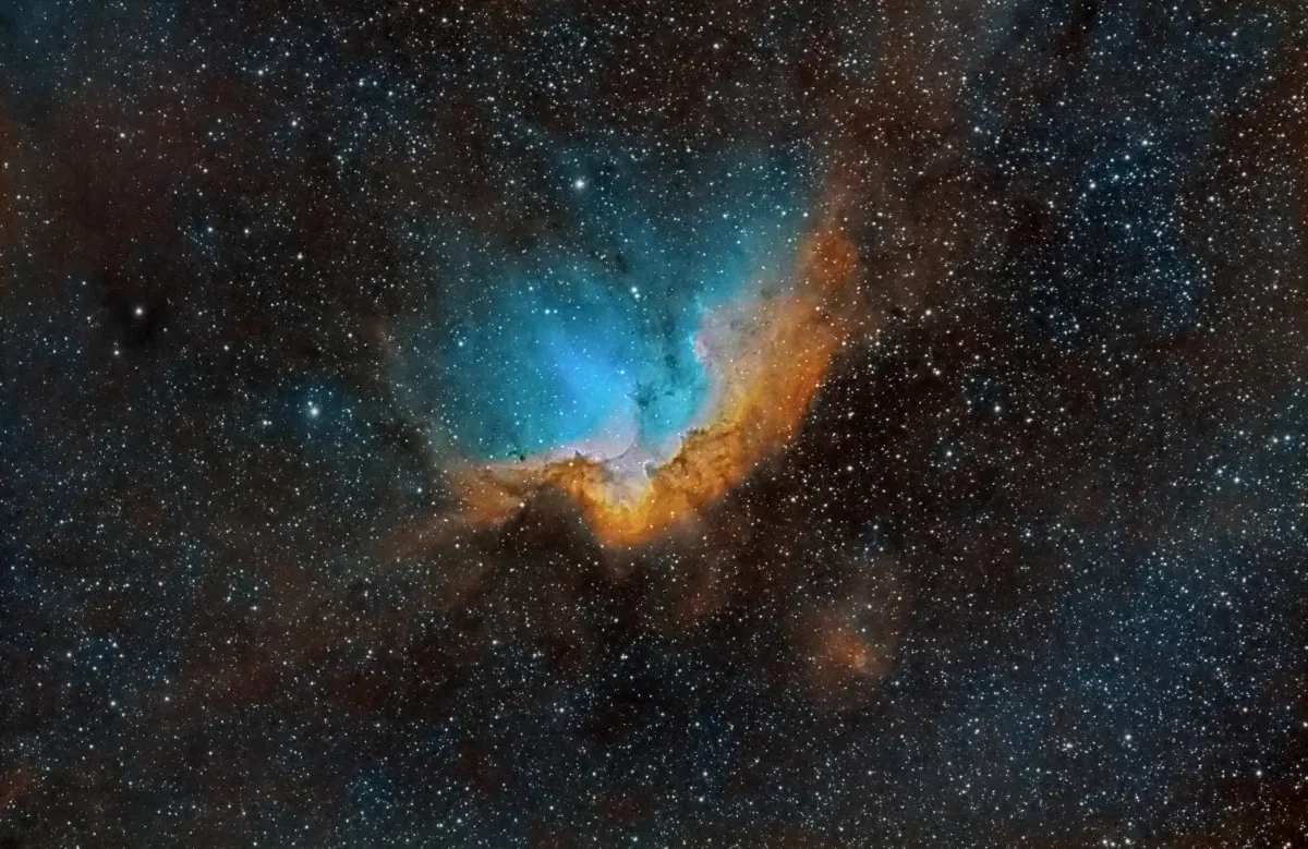 仙女星系中发现12颗大质量物质转移双星