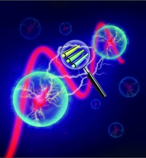 研究实现基于粒子不可分辨性的量子相干生成