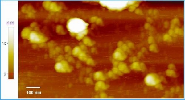 这款纳米机器人会云集“围攻” 实现对目标生物分子的非线性信号放大