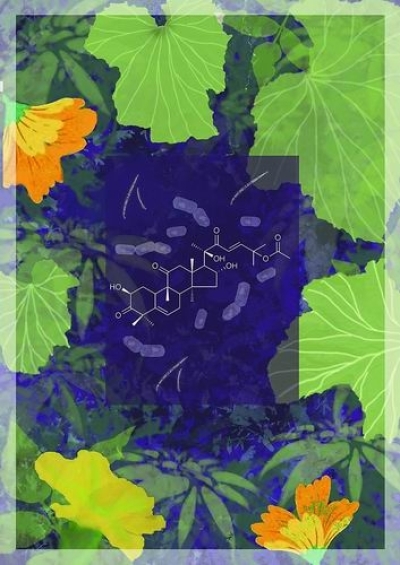 葫芦素“运输大队”这样“护瓜”