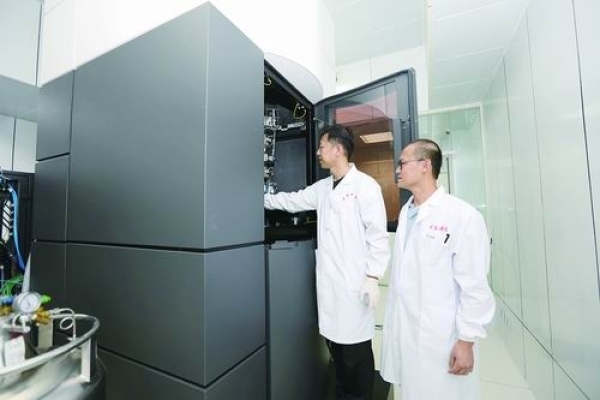 植物生长素“搬运工”首露真容