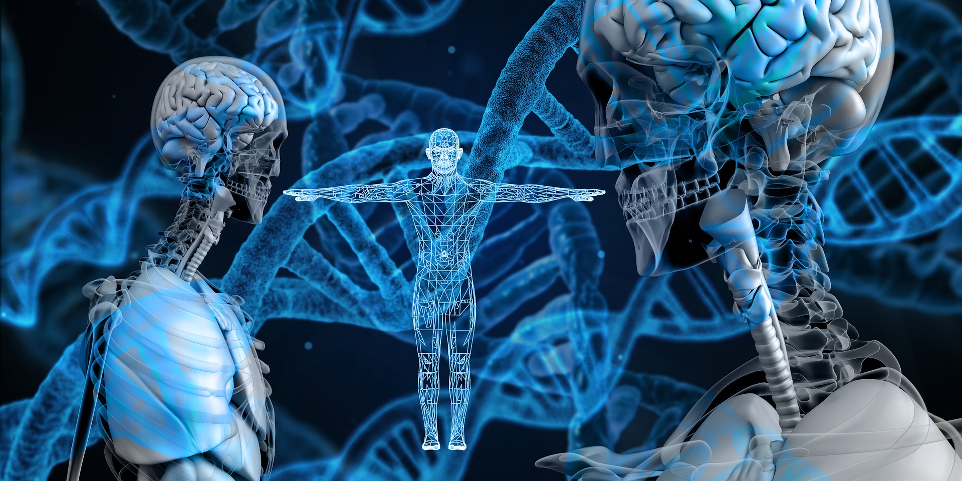 相似面孔的人或具相似DNA