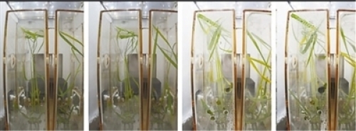 问天科学实验柜在轨测试有序开展