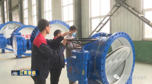 辽阳出台新政促进青年群体就业创业  发放补贴大礼包，提供不断线就业服务