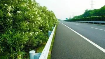 打破传统交通运输业态模式 首条绿色数字专用公路正加速推进