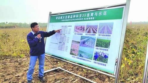 万里挑一，旱涝盐碱“豆”不怕！