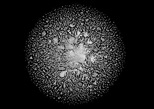新AI预测微生物六亿多蛋白结构