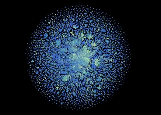Deep Mind遇上对手 Meta AI预测6亿蛋白质结构