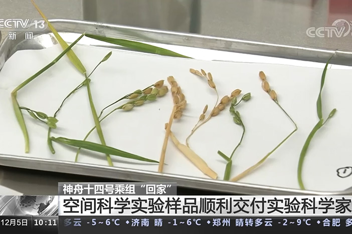 【新闻直播间】神舟十四号乘组“回家”空间科学实验样品顺利交付实验科学家