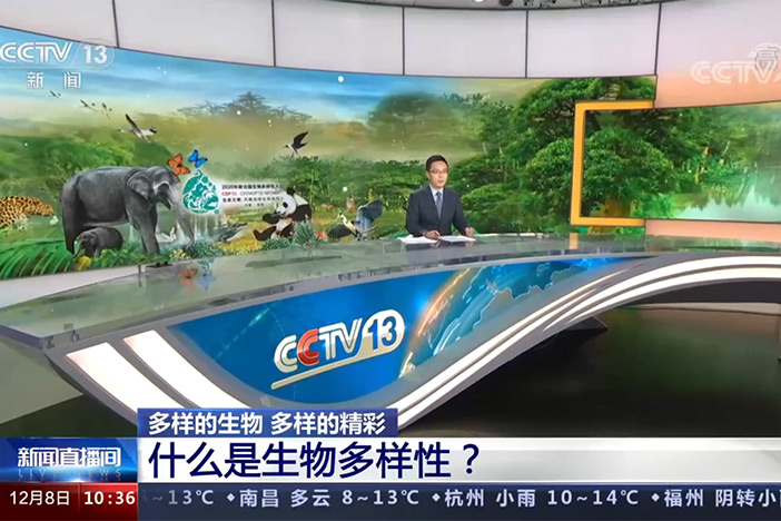 【新闻直播间】多样的生物 多样的精彩